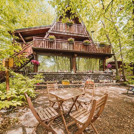 Matilde'S Chalet Etna Nature House Nicolosi Εξωτερικό φωτογραφία