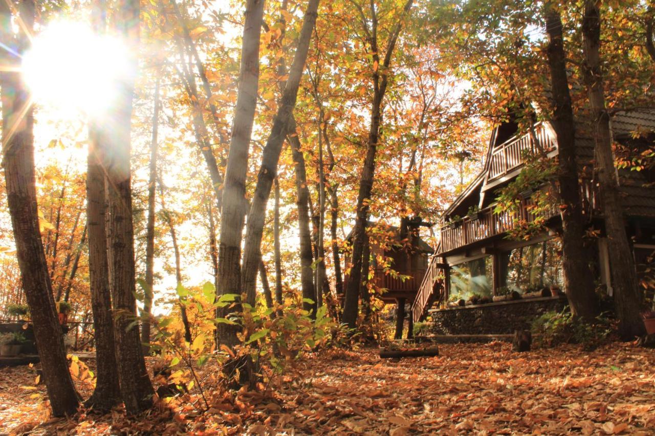 Matilde'S Chalet Etna Nature House Nicolosi Εξωτερικό φωτογραφία