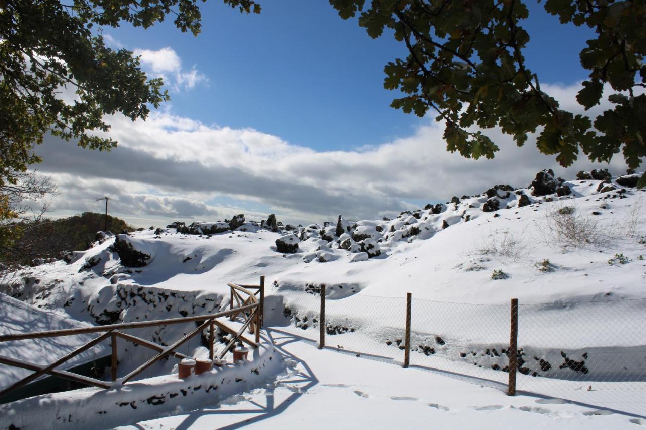 Matilde'S Chalet Etna Nature House Nicolosi Εξωτερικό φωτογραφία