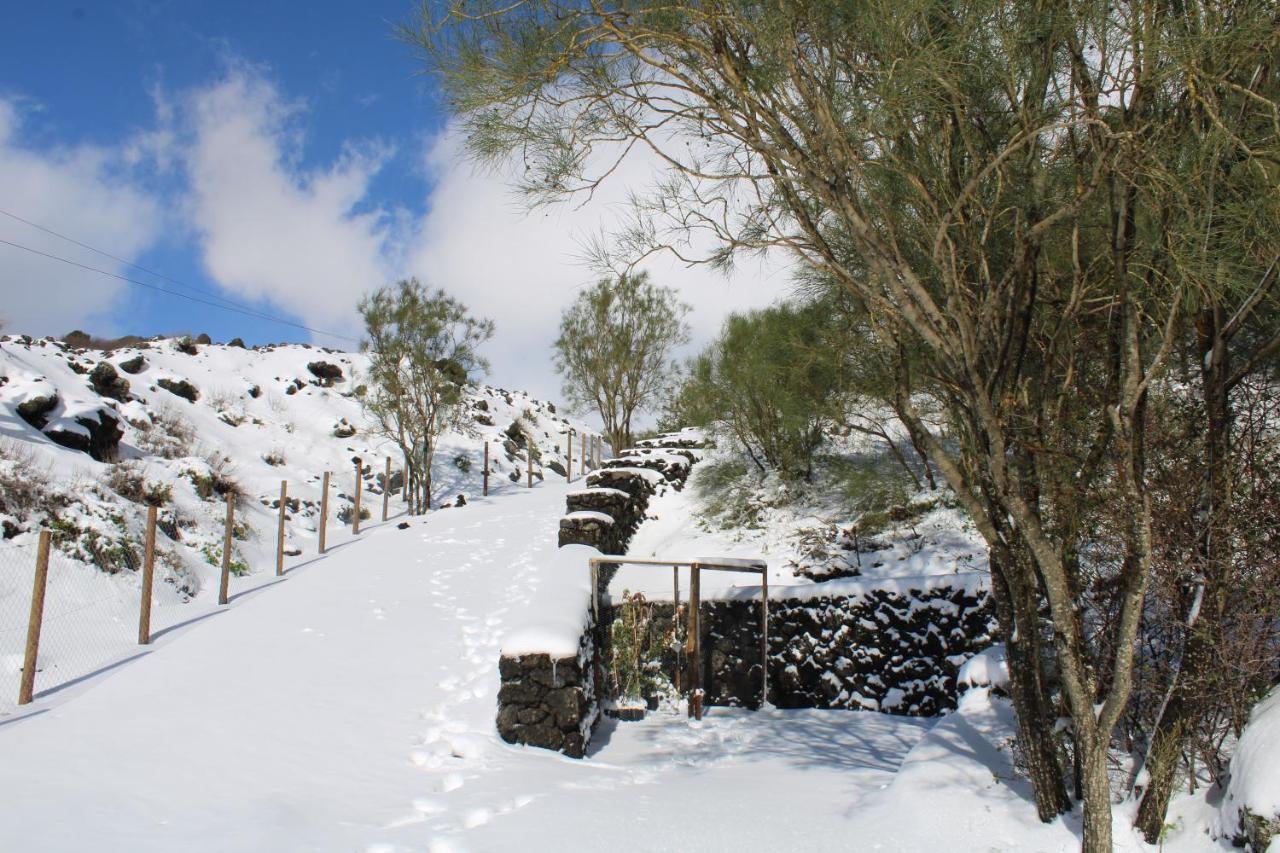 Matilde'S Chalet Etna Nature House Nicolosi Εξωτερικό φωτογραφία