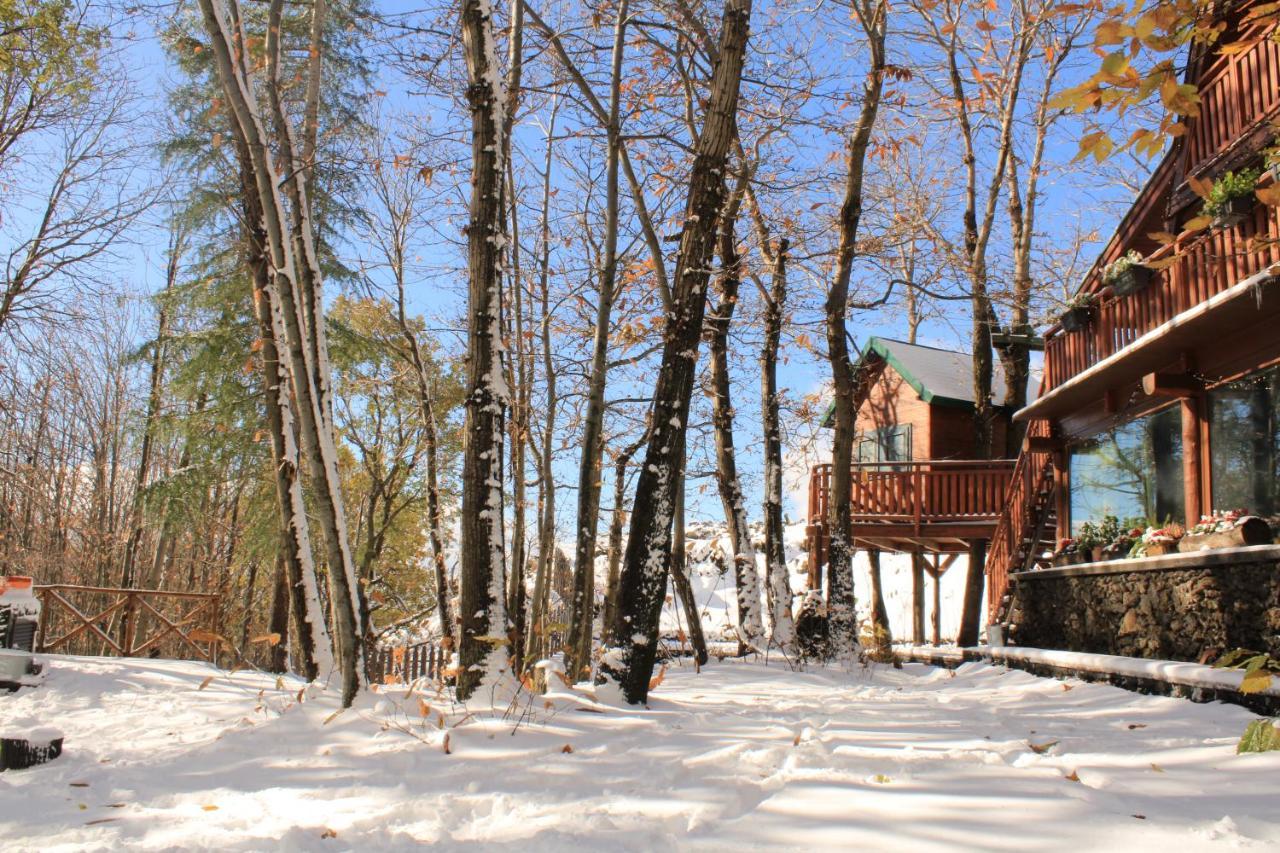 Matilde'S Chalet Etna Nature House Nicolosi Εξωτερικό φωτογραφία