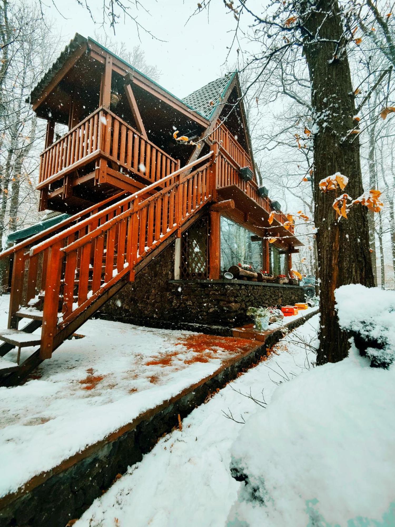 Matilde'S Chalet Etna Nature House Nicolosi Εξωτερικό φωτογραφία